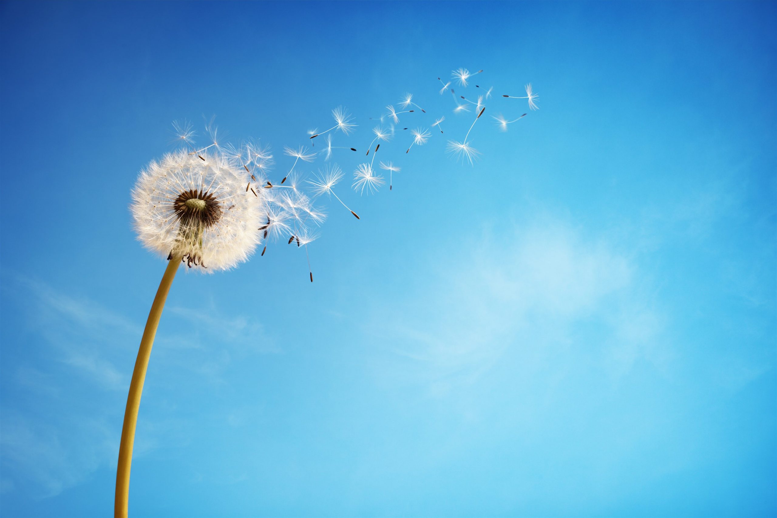 If Wishes Were Sales, Sellers Would Move